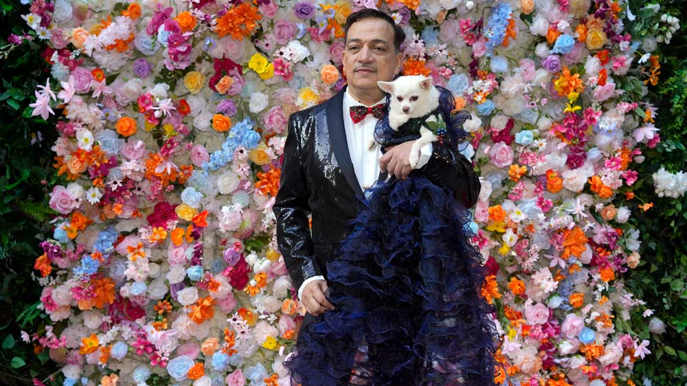 At the Pet Gala, Fashion Goes to the Dogs 