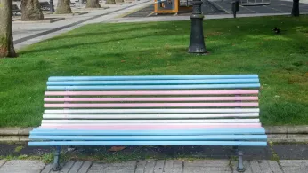 Sanctuary Cities: Where Trans Joy Finds Safe Harbor